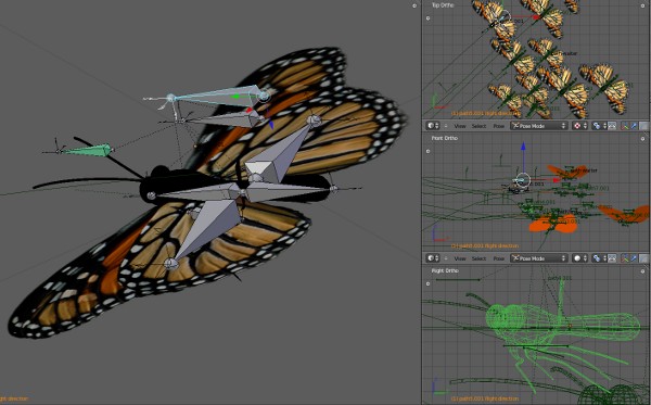 Butterfly and rigging in Blender 2.59